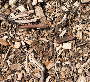 Picture of the Mulch